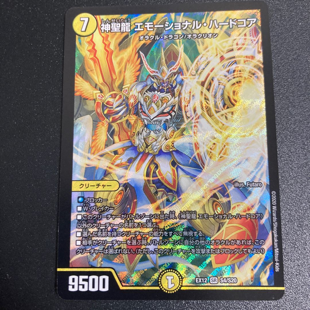 神聖龍 エモーショナル・ハードコア SR