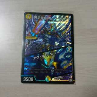 天命龍装ホーリーエンド/ナウオアネバー