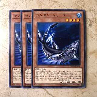 ランタン・シャーク ノーマル