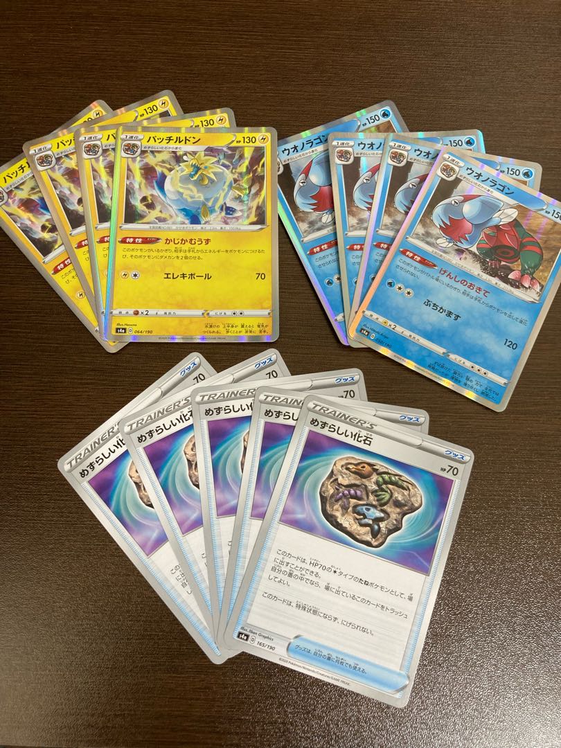 パッチルドン ウオノラゴン めずらしい化石セット