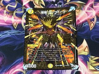 煌龍サッヴァーク