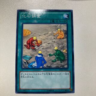 化石調査 ノーマル