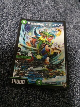 革命類侵略目 パラスキング