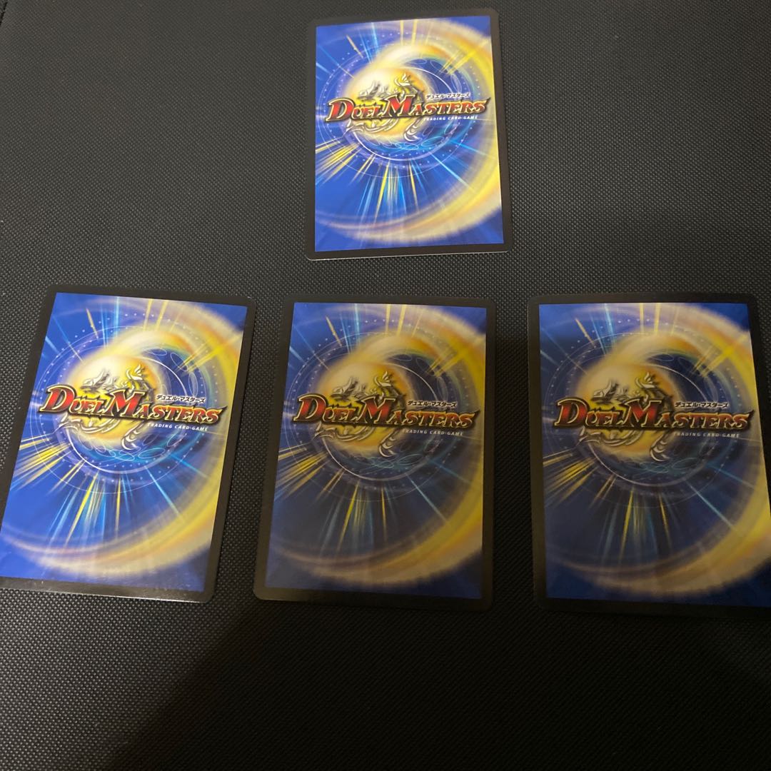 煌龍 サッヴァーク