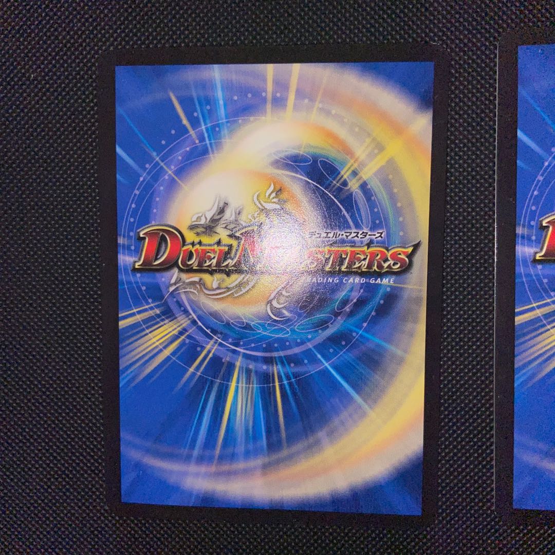 煌龍 サッヴァーク