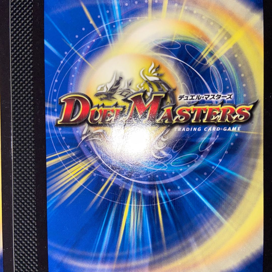 煌龍 サッヴァーク