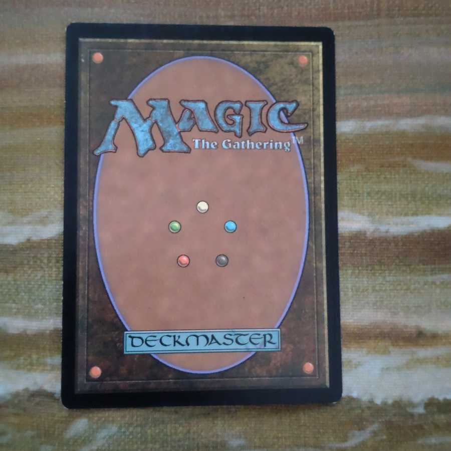 外科的摘出 1016B