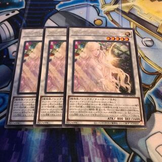 Garden Rose Flora Rare Hulu 3178