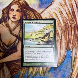 垣間見る自然　プレイド