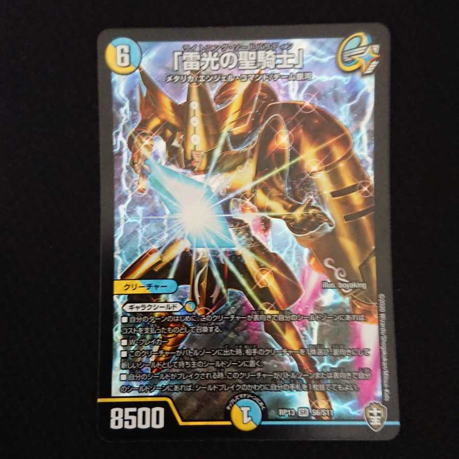 「雷光の聖騎士」
