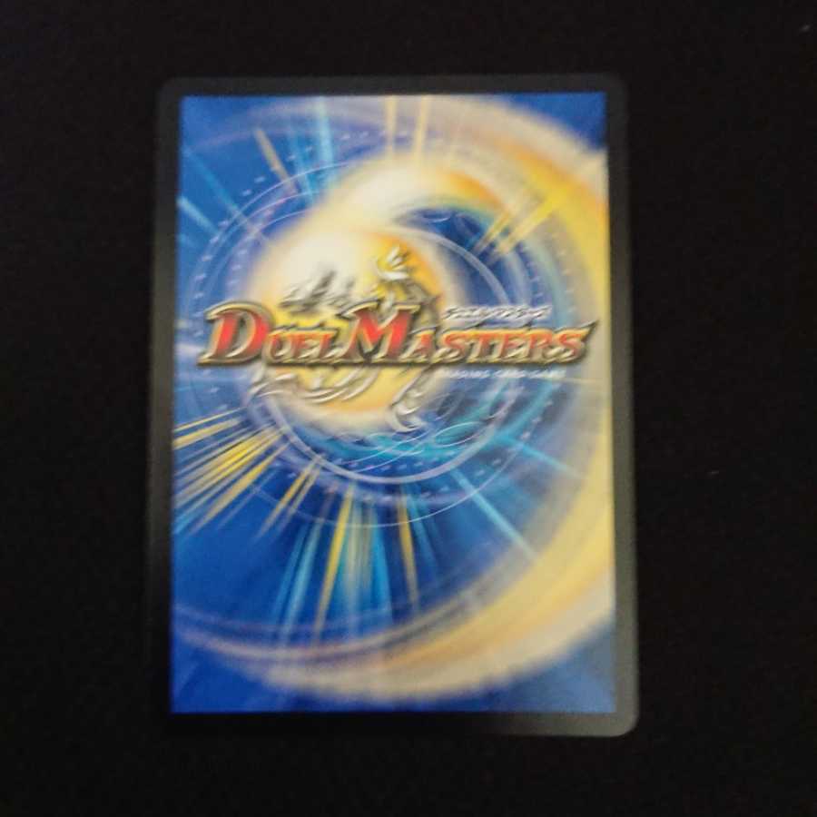 「雷光の聖騎士」