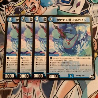 愛されし者 イルカイル　4枚