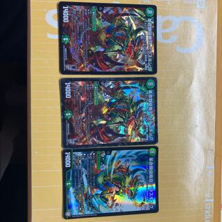 革命類侵略目 パラスキング