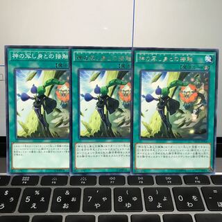 神の写し身との接触