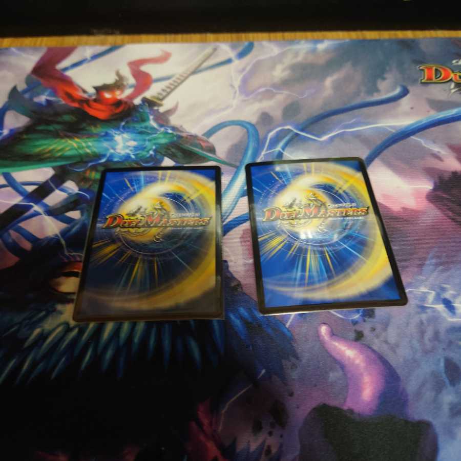 瞬閃と疾駆と双撃の決断 VR