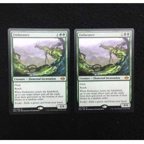 忍耐/Endurance 英語 2枚