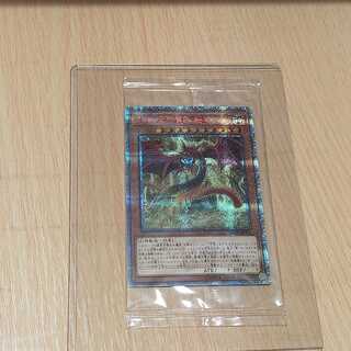 オシリスの天空龍 20thシク