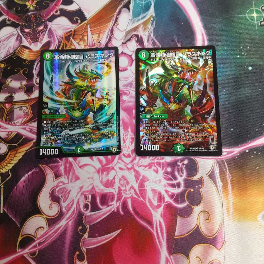 革命類侵略目 パラスキング