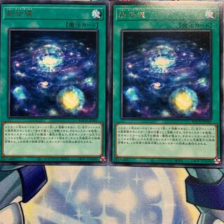 【R】新世壊 2枚 BACH-JP062