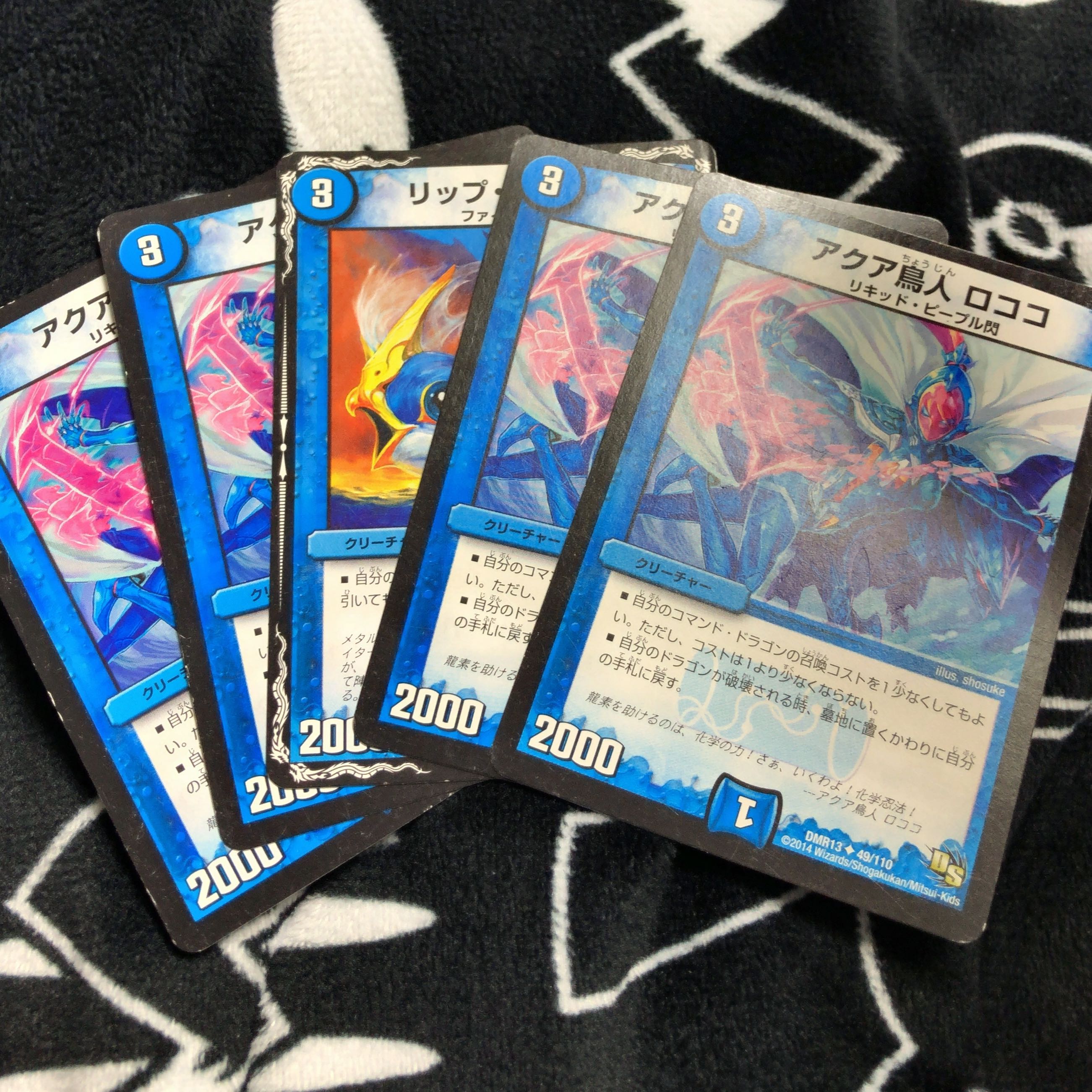 アクア鳥人 ロココ