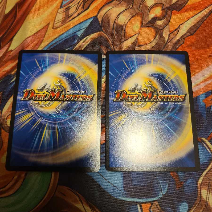 闘争類拳嘩目 ステゴロ・カイザー｜お清めシャラップ