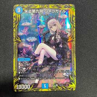 Waterjo Ninth Institute Shakogile (SR)(17A/20)