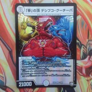 「拳」の頂 デシブコ・グーチーパ