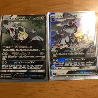 シルヴァディGX セット