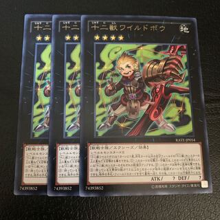 十二獣ワイルドボウ レア