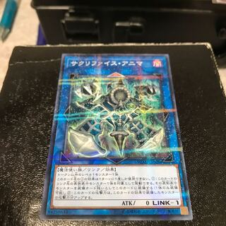 サクリファイス・アニマ パラレル ノーマル