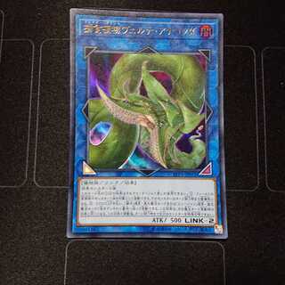 捕食植物ヴェルテ・アナコンダ ウルトラレア