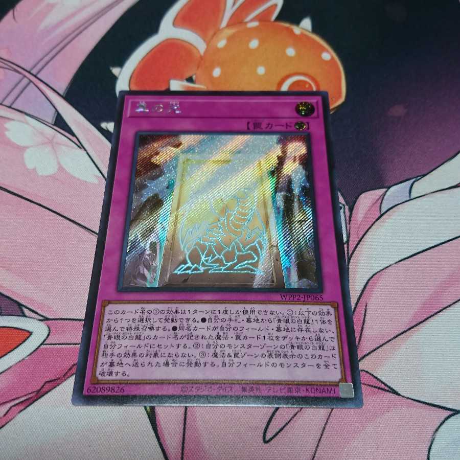 真の光 青眼の亜白龍 シークレットレア