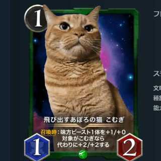 飛び出すあぽろの猫 こむぎ