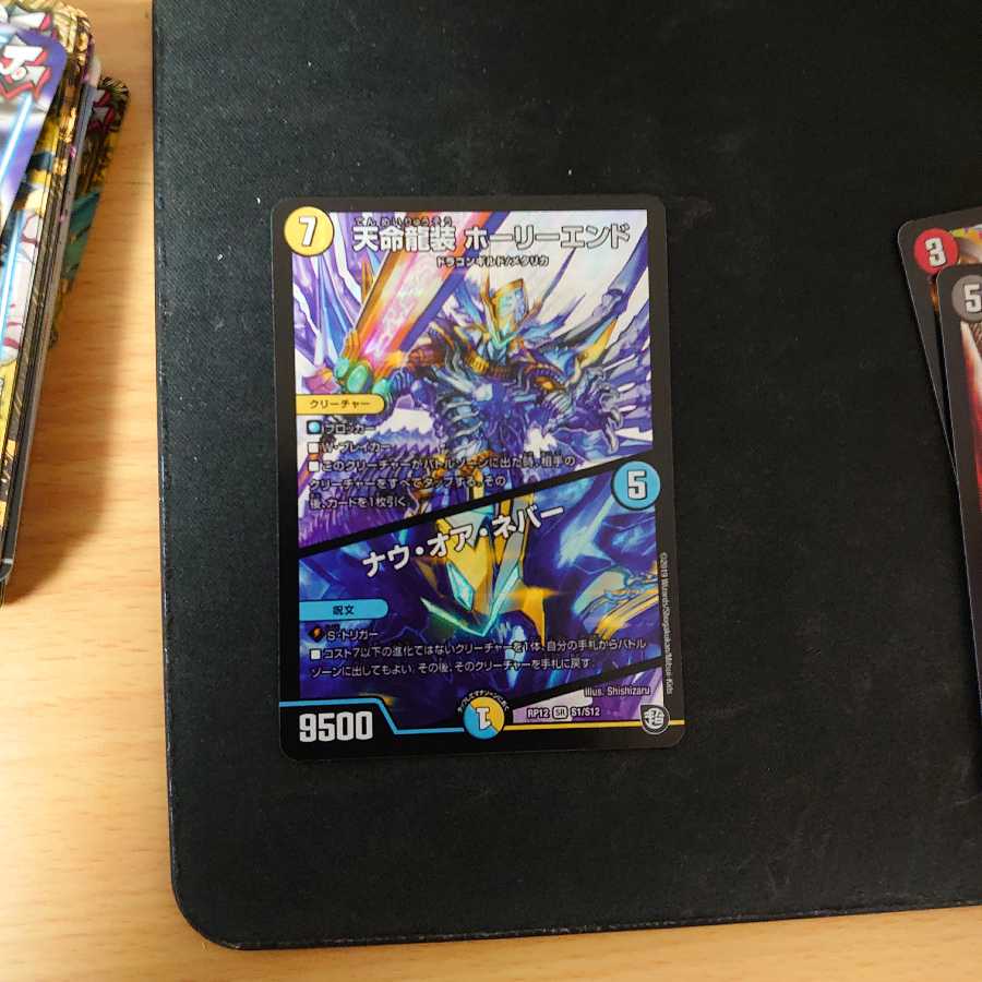 天命龍装 ホーリーエンド/ナウ・オア・エバー