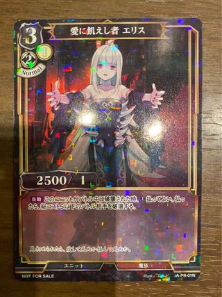 【パラレル】ビルディバイド 愛に飢えし者 エリス PR