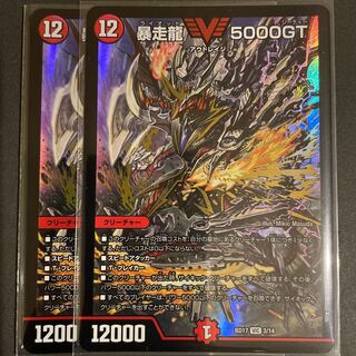 暴走龍 5000GT        2枚セット