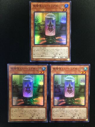被検体ミュートリアM-05 ３枚セット　SR