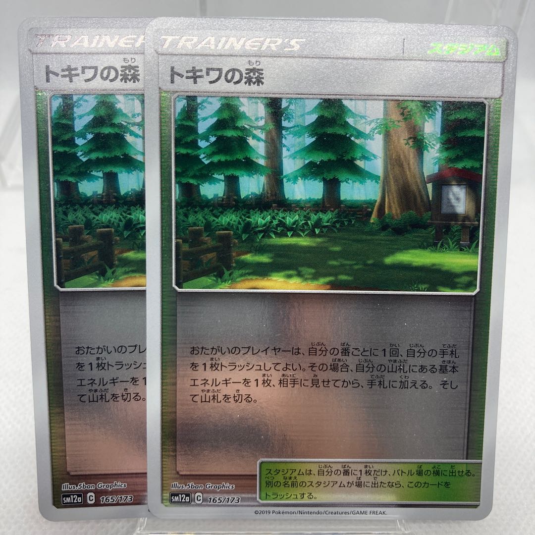 専用 トキワの森 ミラー