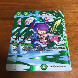 ピクシーライフ 2枚