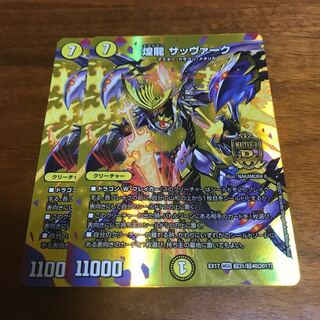 煌龍 サッヴァーク 2枚