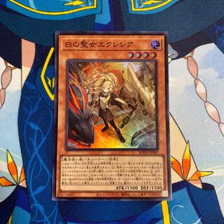 白の聖女エクレシア　