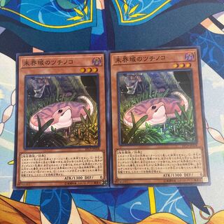 未界域のツチノコ　2枚