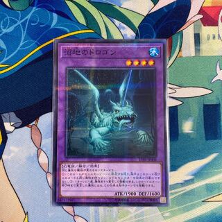 沼地のドロゴン パラレル ノーマル