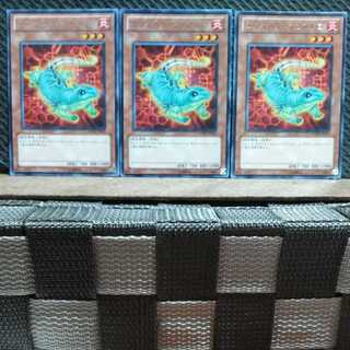 【ぽぽたん】遊戯王 4801  エヴォルド・ウェストロ 3枚 字レア