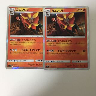 紅焔様 カエンジシ2枚