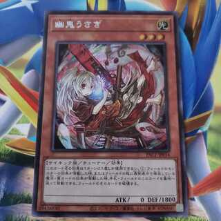 Ghost Ogre & Snow Rabbit (Umi foreign edition illustration) Secret Rare PAC1