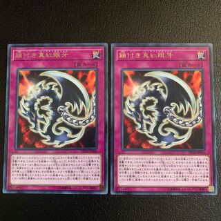 鎖付き真紅眼牙 レア