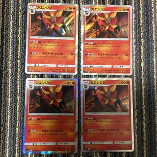 カエンジシ セット