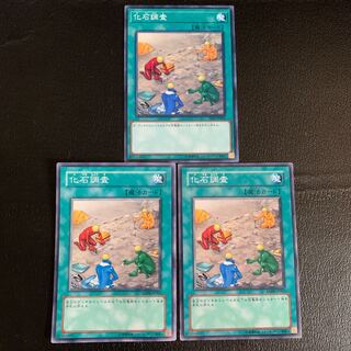 化石調査 ノーマル