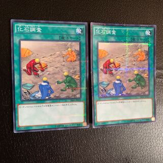 化石調査 パラレル ノーマル